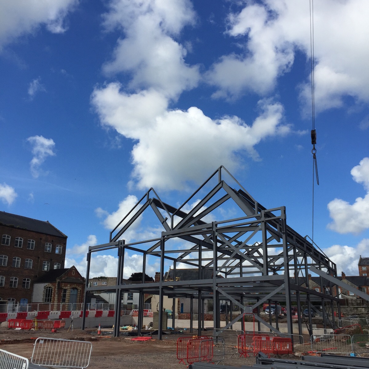 Latest Updates from Momentous Chard Regeneration Project