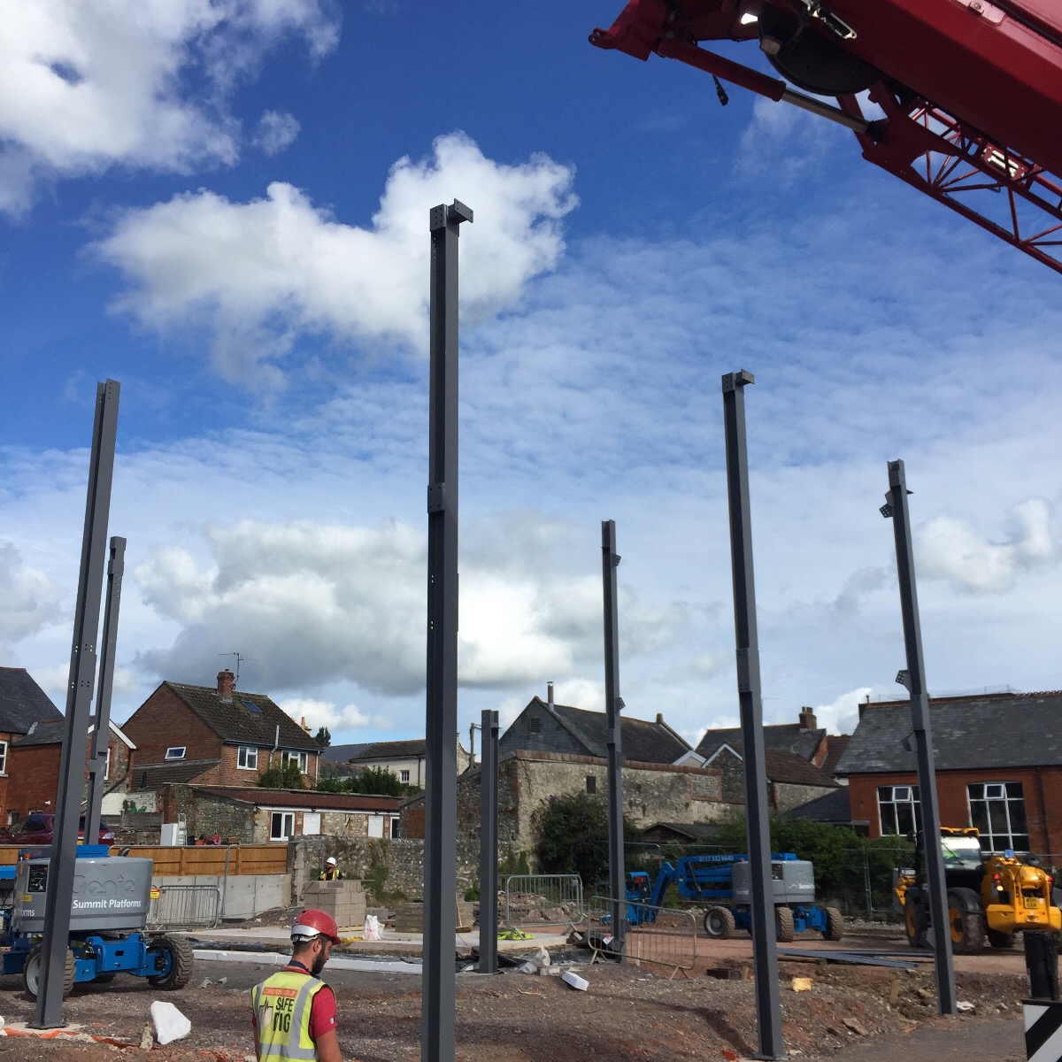 Latest Updates from Momentous Chard Regeneration Project
