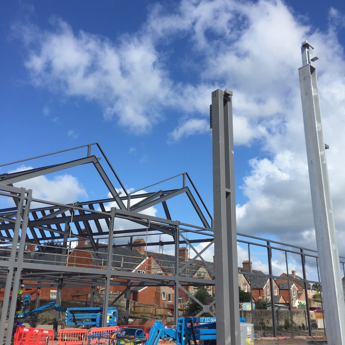 Latest Updates from Momentous Chard Regeneration Project
