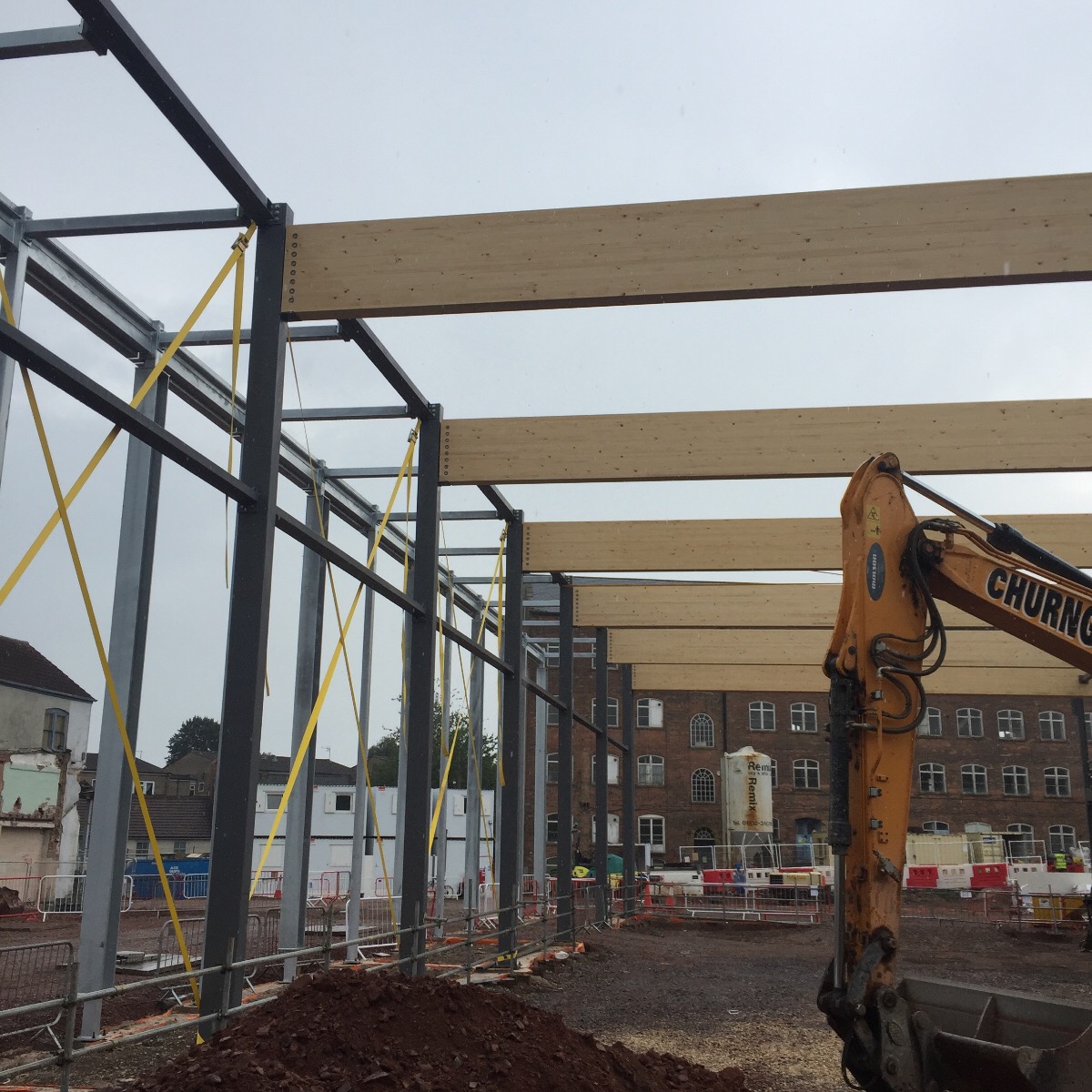 Latest Updates from Momentous Chard Regeneration Project